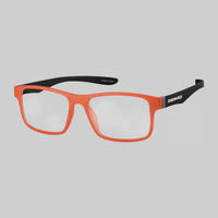 OptiFlex: DreamHack 2024 Multicolor