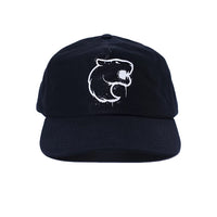 Furia Spray It Dad Hat Black