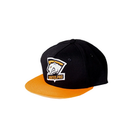 Virtus.Pro Baseball Cap Black